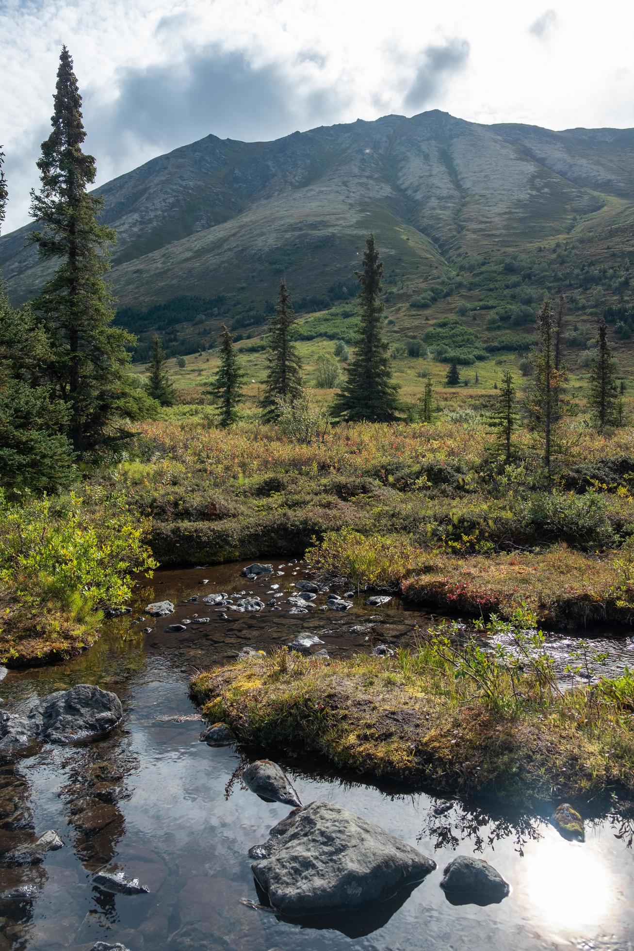 Nature landscape in Alaska Stock Free