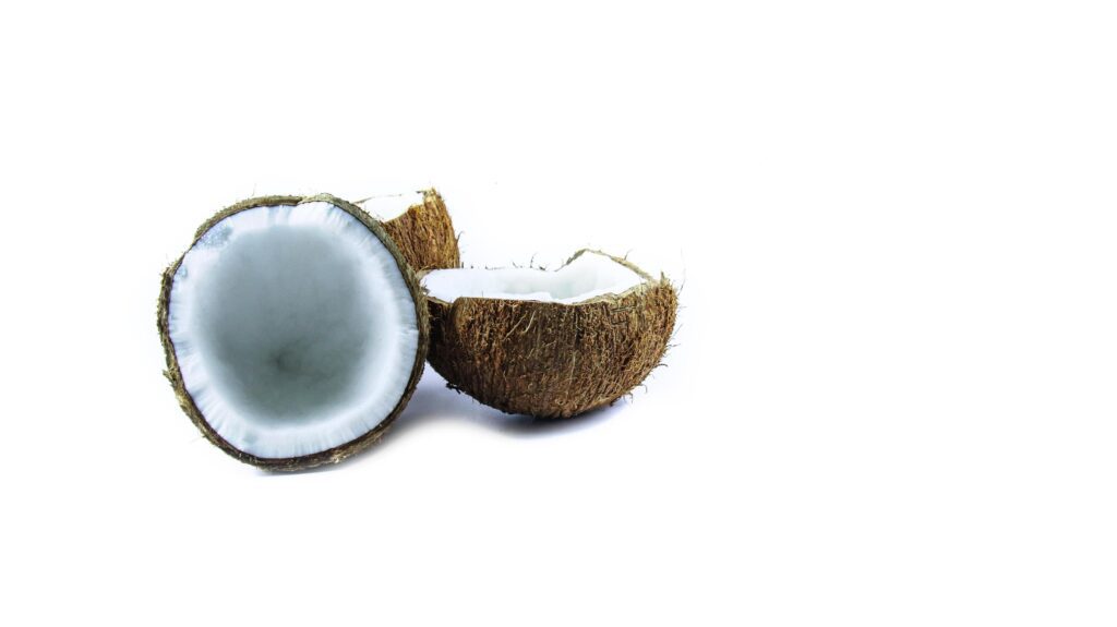 A close-up photograph of a mature and open coconuts isolated on a white background. Stock Free