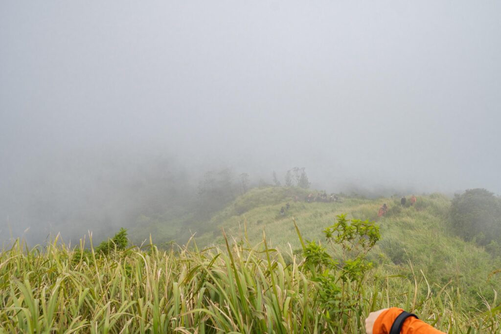 The way going to peak mountain, with Savana and foggy vibes. The photo is suitable to use for adventure content media, nature poster and forest background. Stock Free