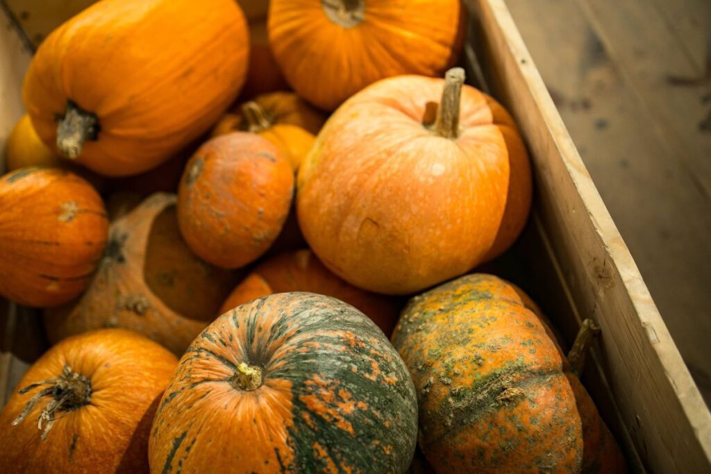 Close-ups of pumpkins in a wooden box Stock Free