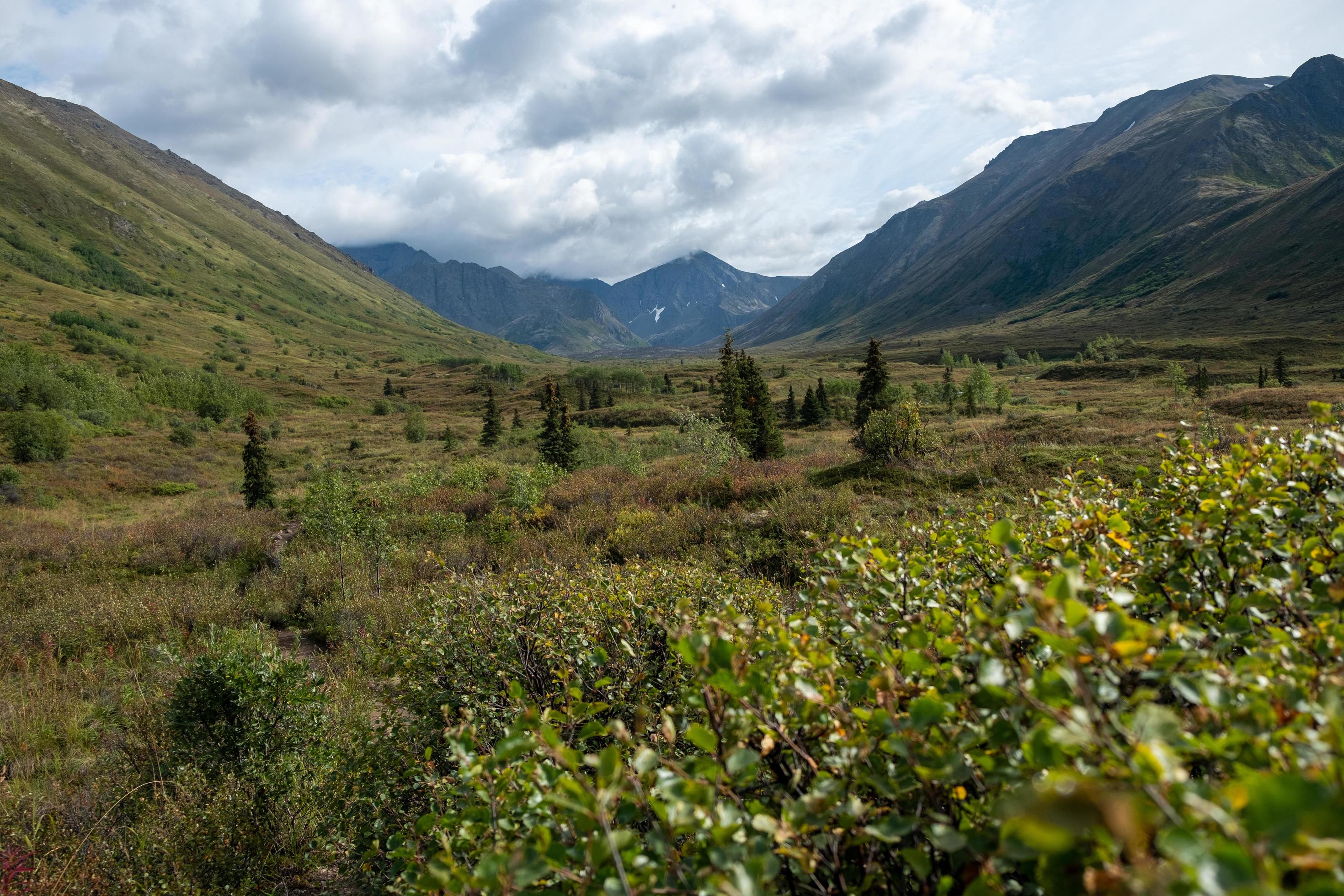 Nature landscape in Alaska Stock Free