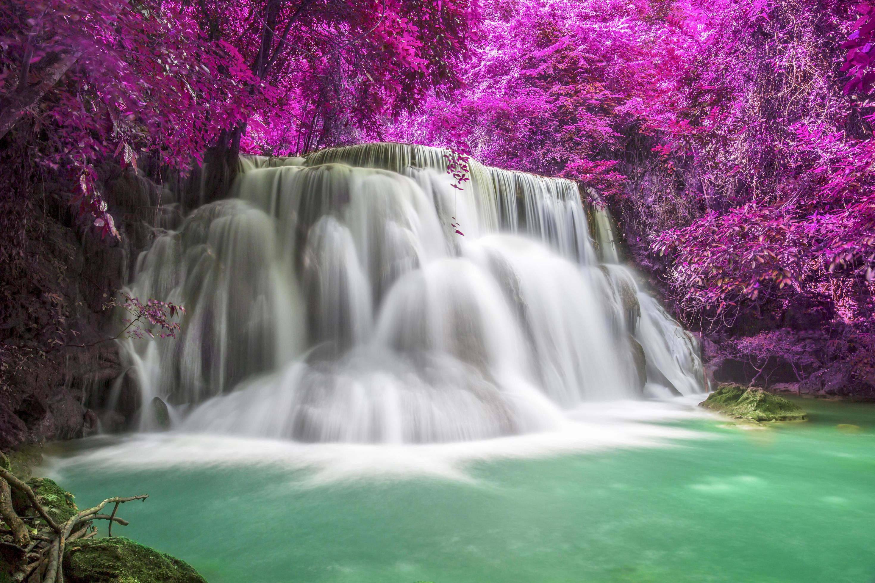 Beautiful waterfall nature scenery of colorful deep forest in summer day Stock Free