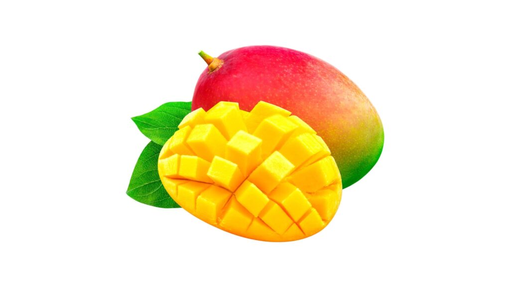 mango art on white background Stock Free