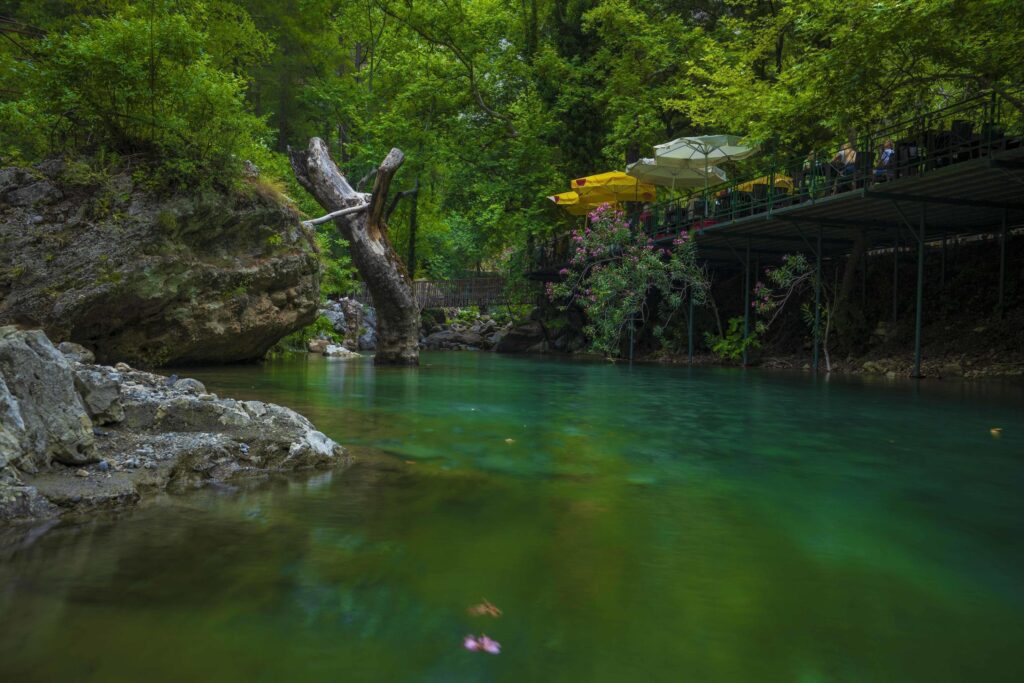 Mountain river stream waterfall green forest Landscape nature plant tree rainforest jungle Stock Free