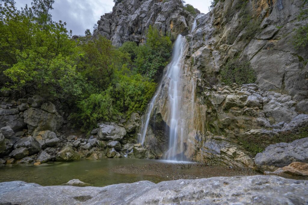 Mountain river stream waterfall green forest Landscape nature plant tree rainforest jungle Stock Free