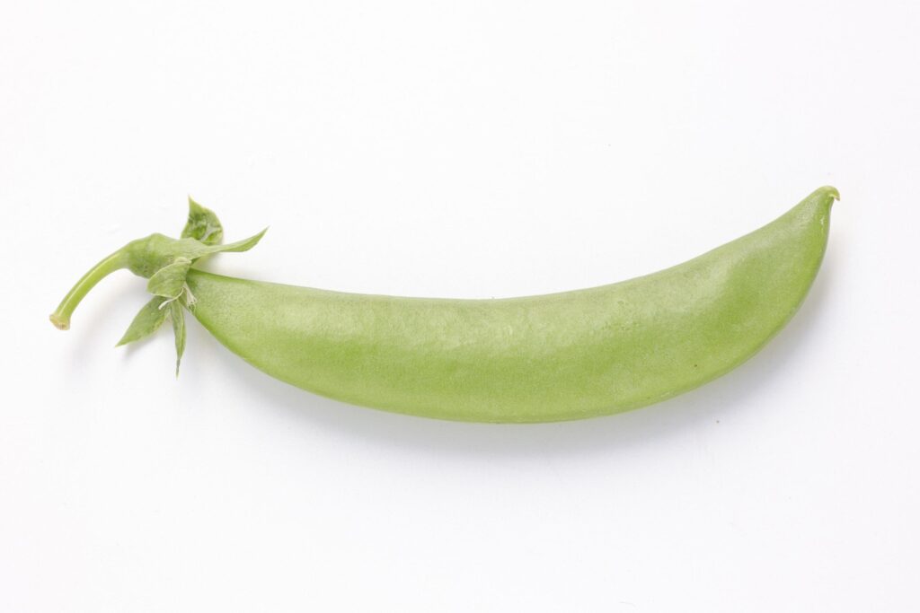 Pea on white background Stock Free