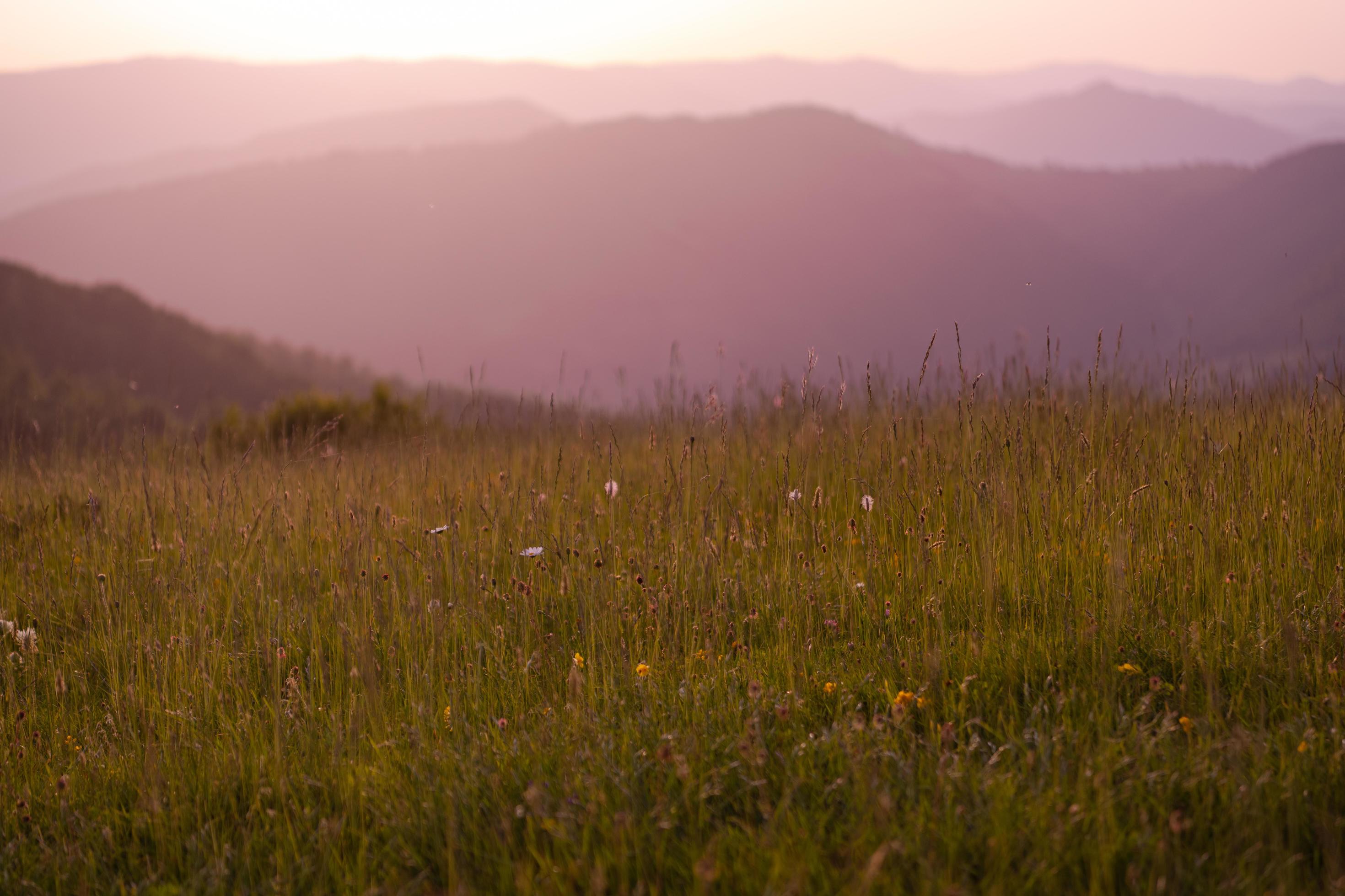 landscape nature summer Stock Free