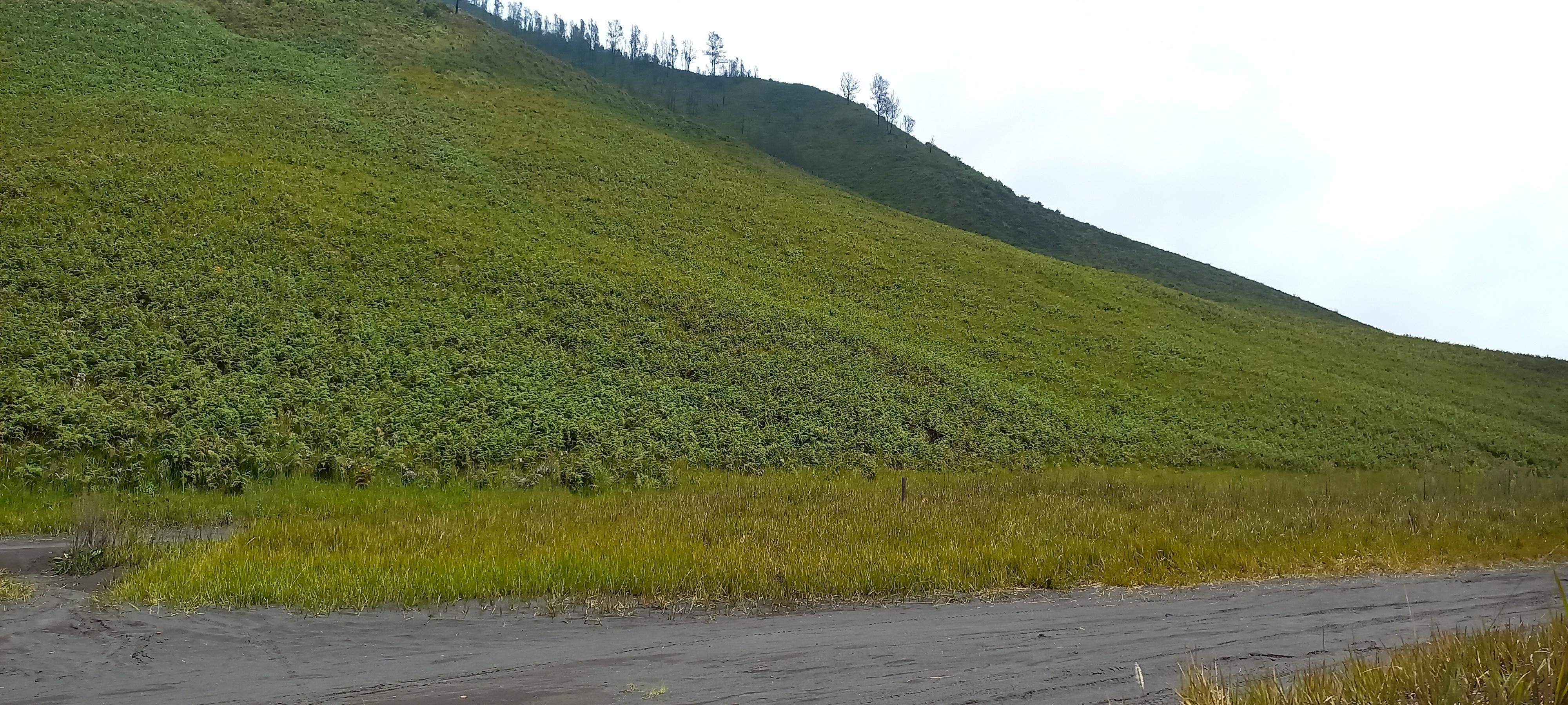 See the natural beauty of Mount Bromo, Indonesia Stock Free