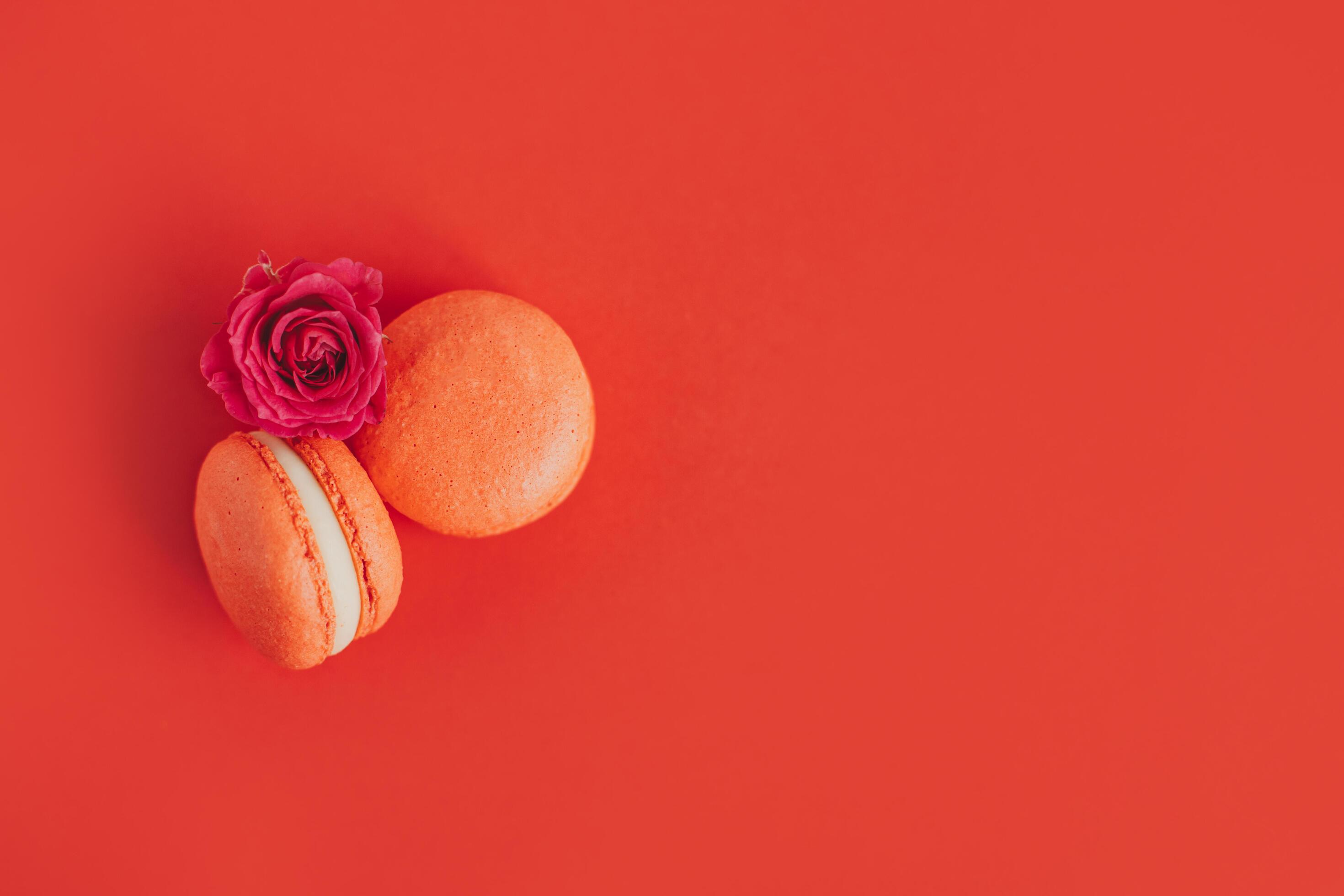 Tasty french macarons with rose flower on a red background. Stock Free