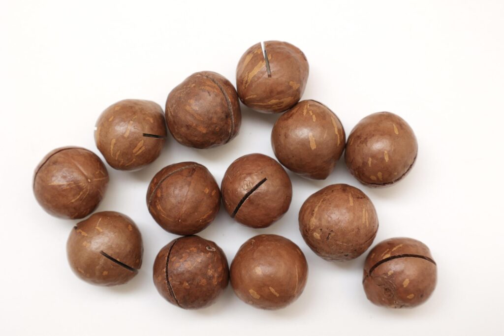 Macadamia nuts seeds background Stock Free