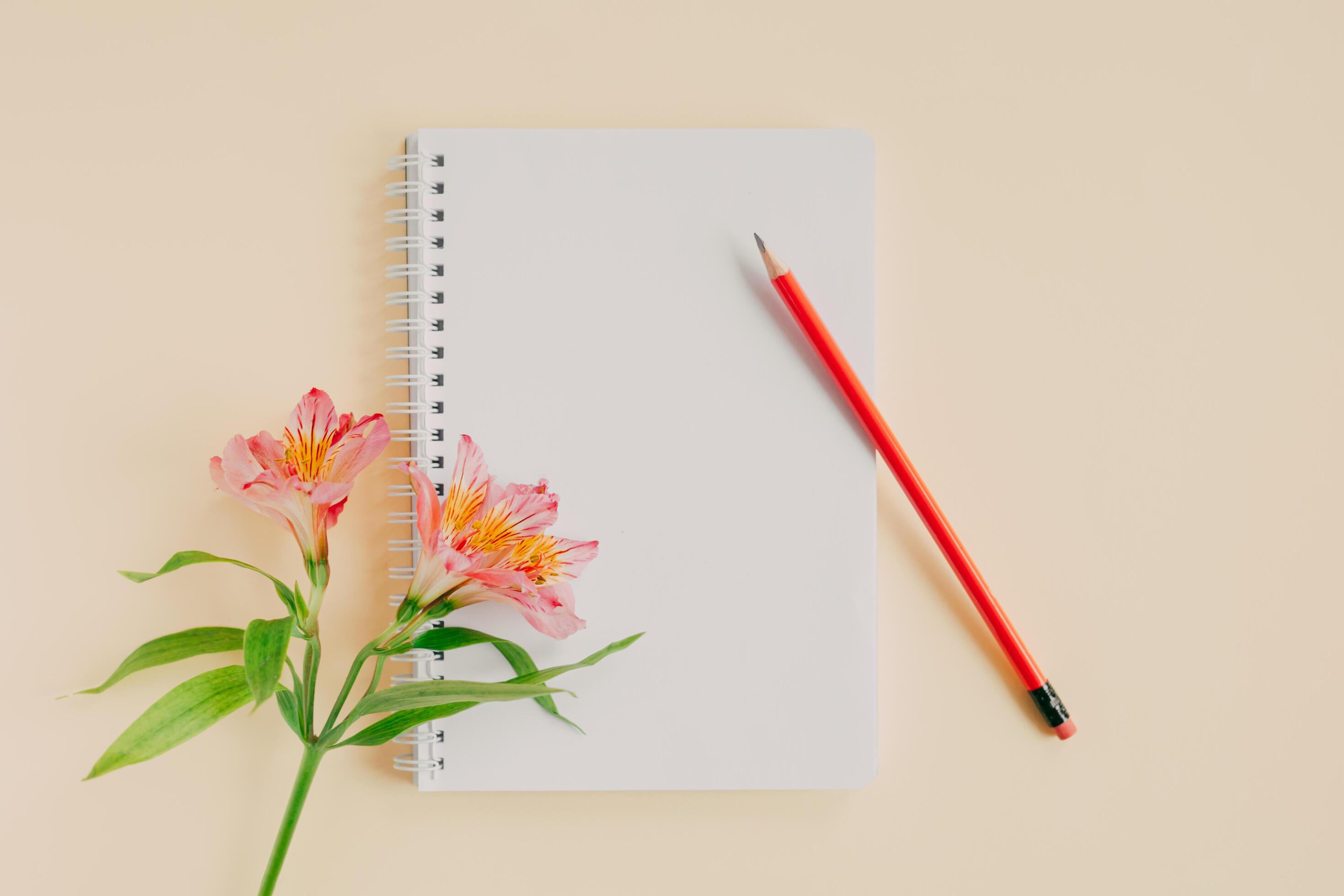 Notebook with blank page, pink flower and pencil on light yellow background. Stock Free