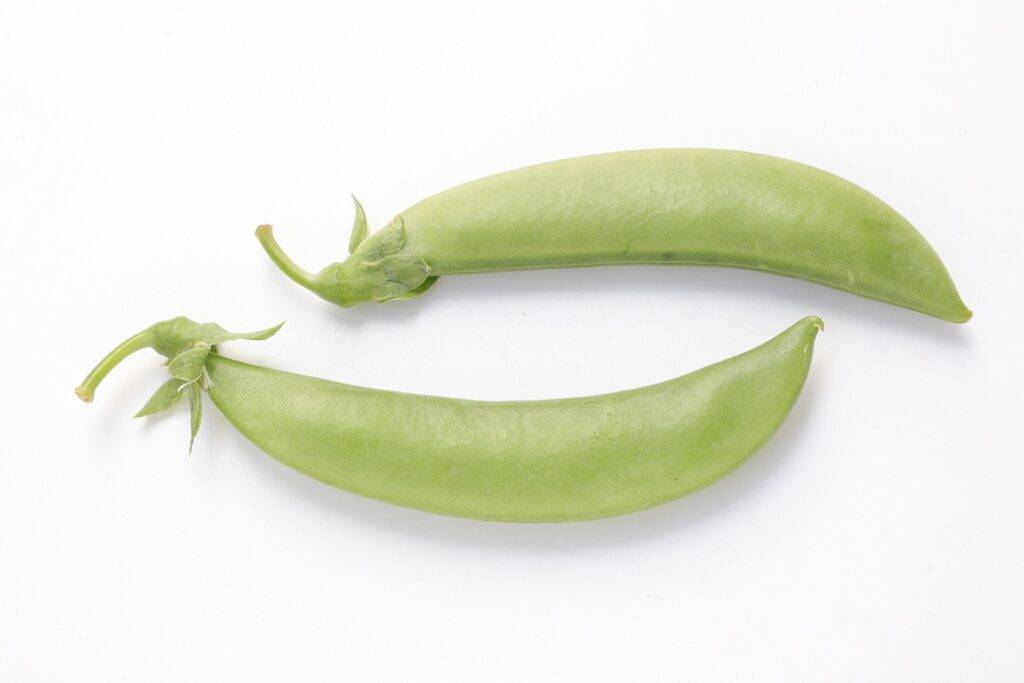 Pea on white background Stock Free