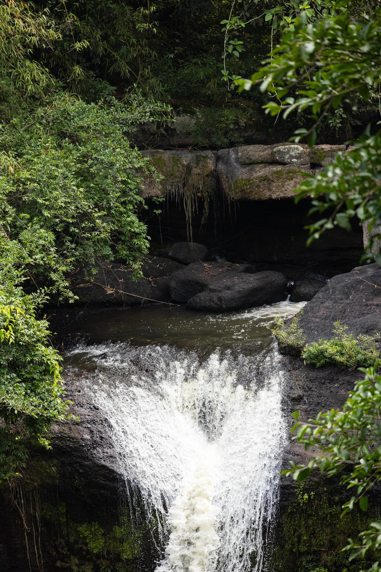 Waterfall in the big forest, beautiful in nature. Stock Free