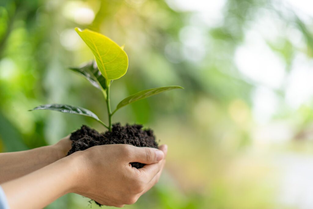 Hand holding black soil and green sapling. Plant trees for good nature and environment. world environment day Stock Free