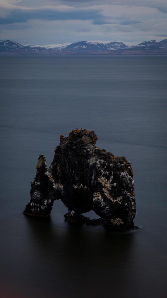 Elephank like natural rock formation in the ocean in iceland Stock Free