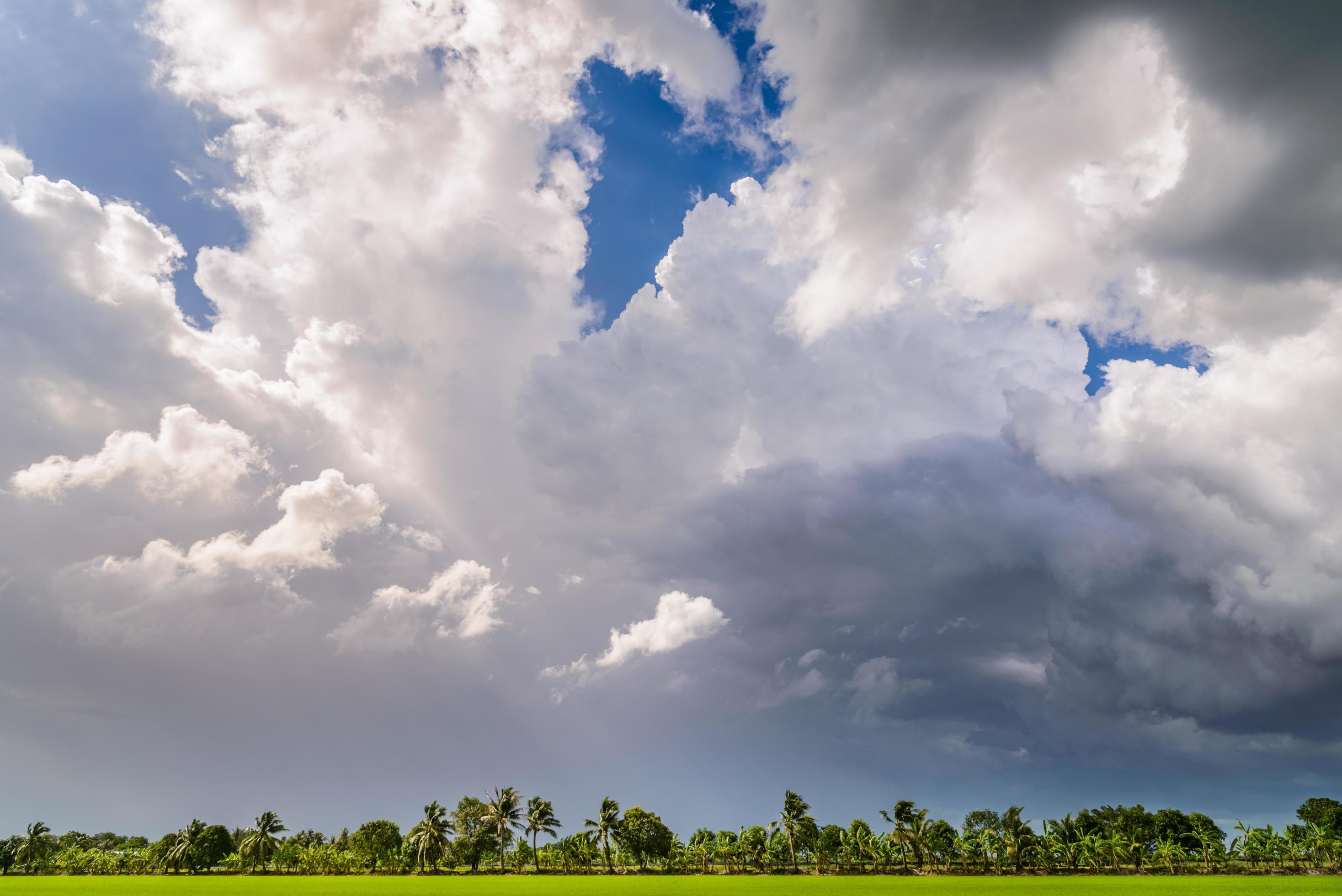 Dark clouds over rice field before rain storm. Natural background Stock Free