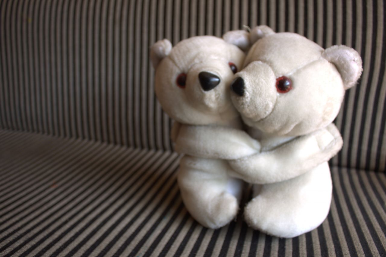 Teddy Bear Couple Hug Stock Free