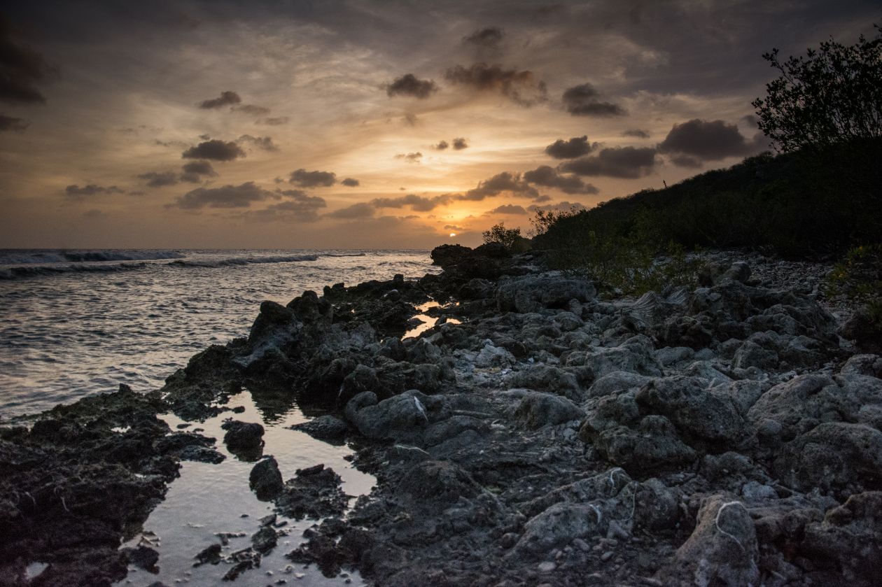 Shoreline with rocks Stock Free