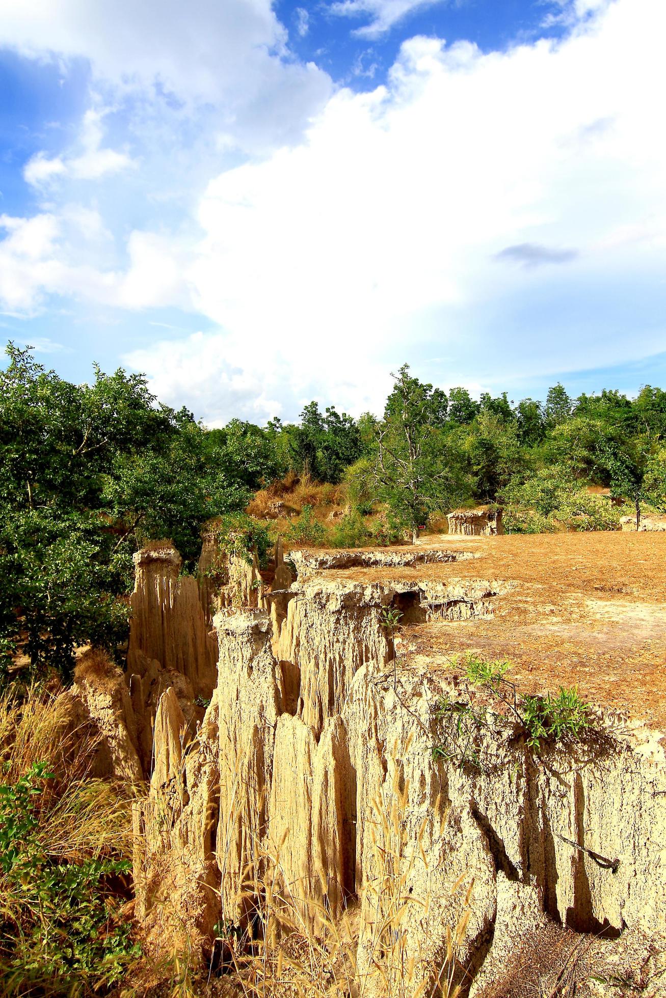 Happened from the soil erosion of Rain and wind naturally Stock Free