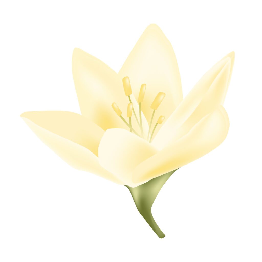 flower isolated on white background Realistic Free Vector