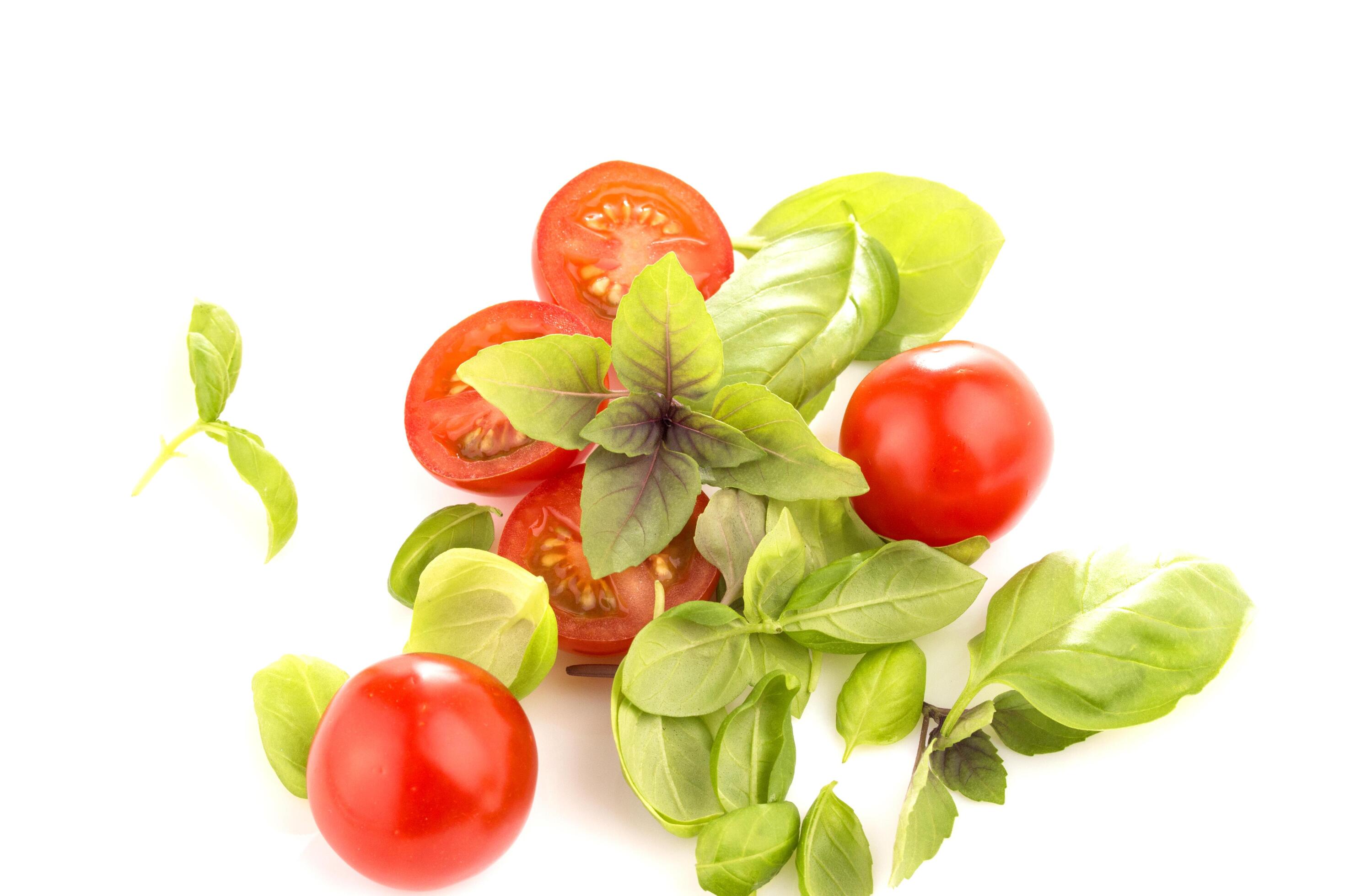 Tomatoes with basil on white background Stock Free