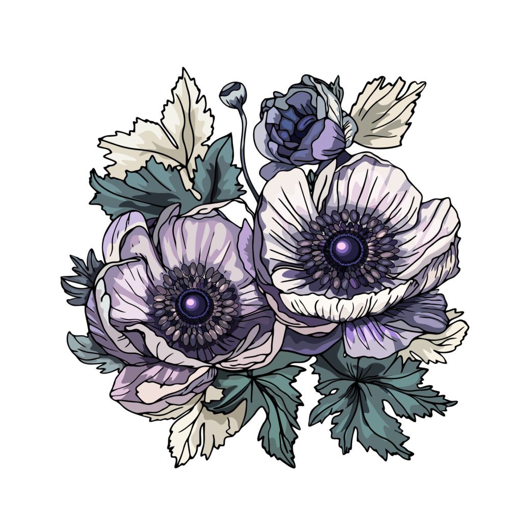 Anemone. Anemones . Illustration, flower tattoo. Flowers in boho style, sticker on a white background. Clip-art, blank for the designer Free Vector