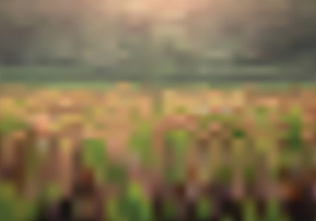 blurry paddy field landscape vector background for background design. Free Vector