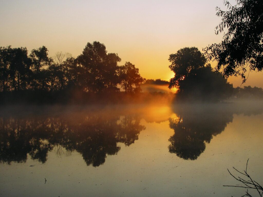 Fog and sunrise on the river Stock Free