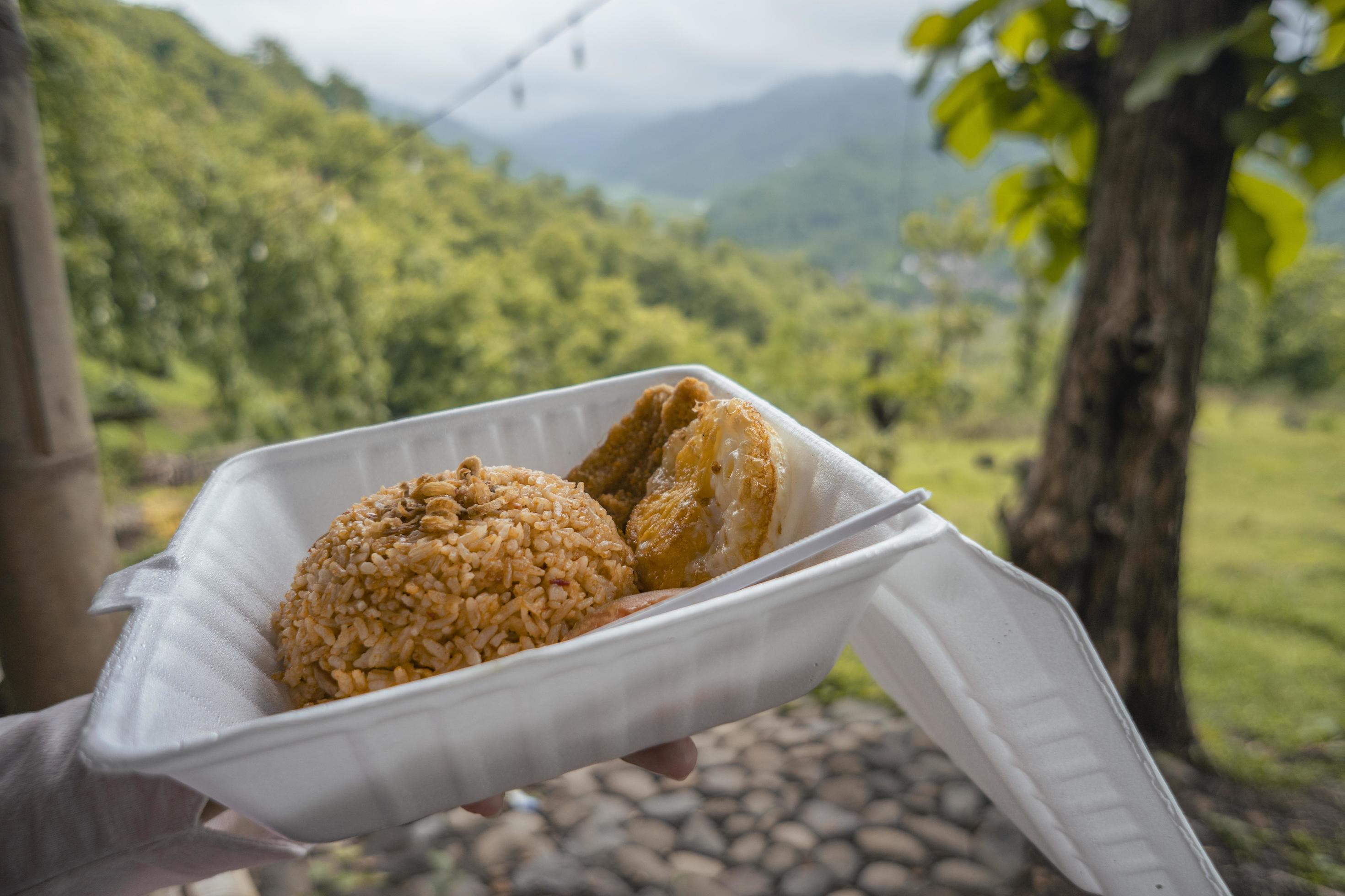 Close up photo of fried rice with nature background when day time. The photo is suitable to use for food traveler background and foodies post content. Stock Free