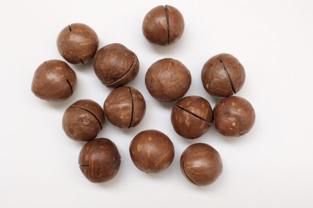 Macadamia nuts seeds background Stock Free