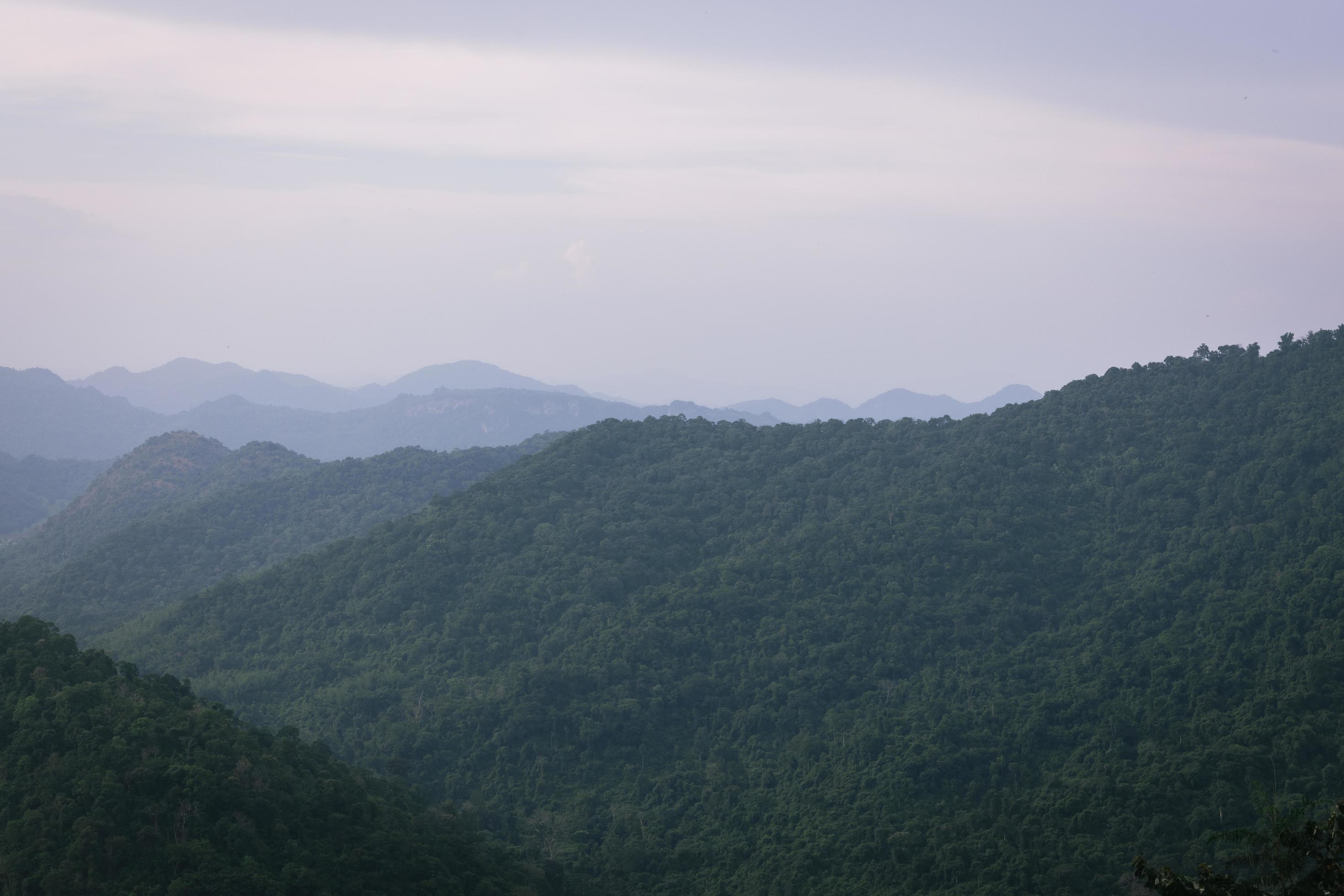 Beautiful nature, sky, trees, evening atmosphere at Khao Yai National Park, Thailand Stock Free