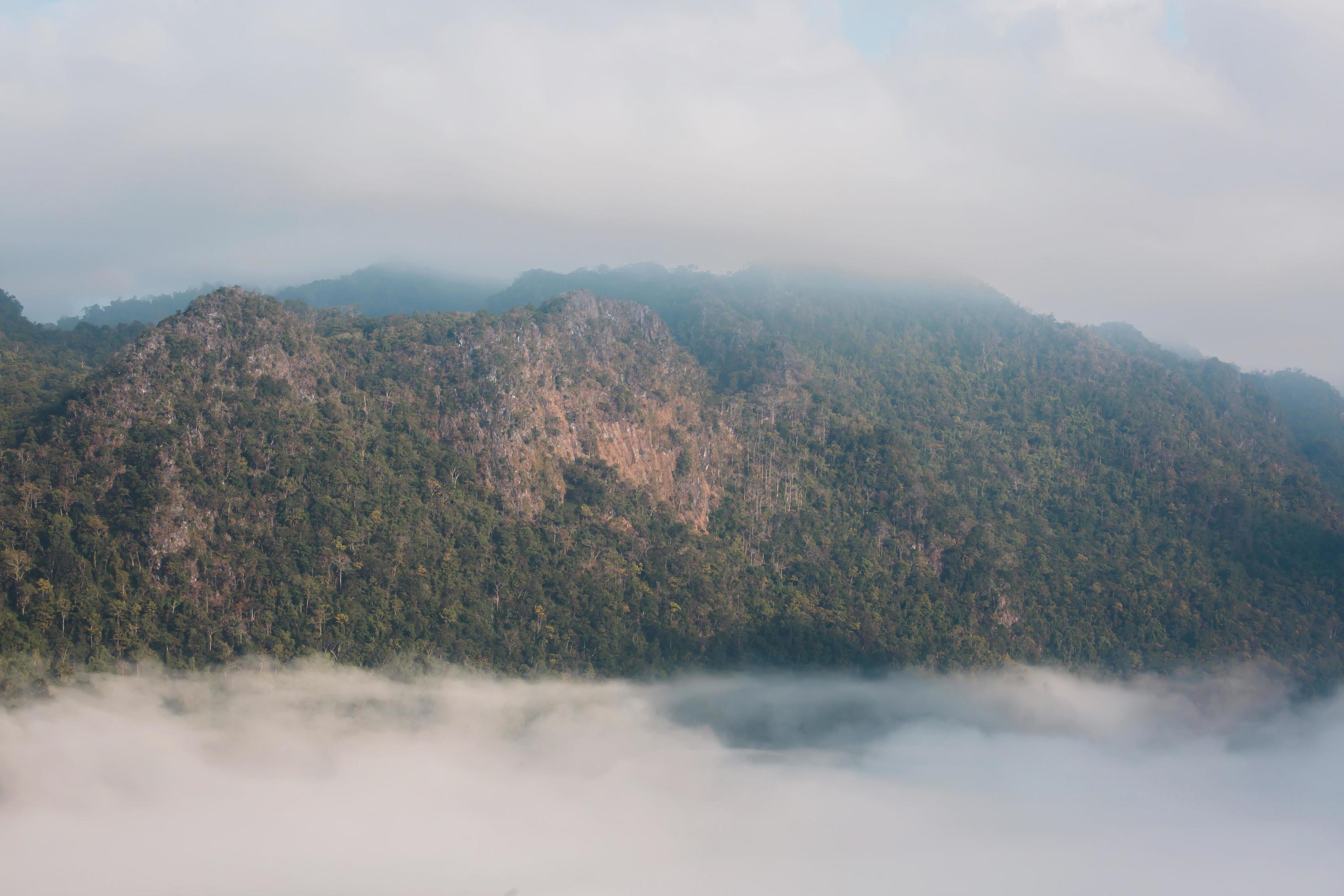 Pictures of natural landscapes, fog on beautiful mountains Stock Free