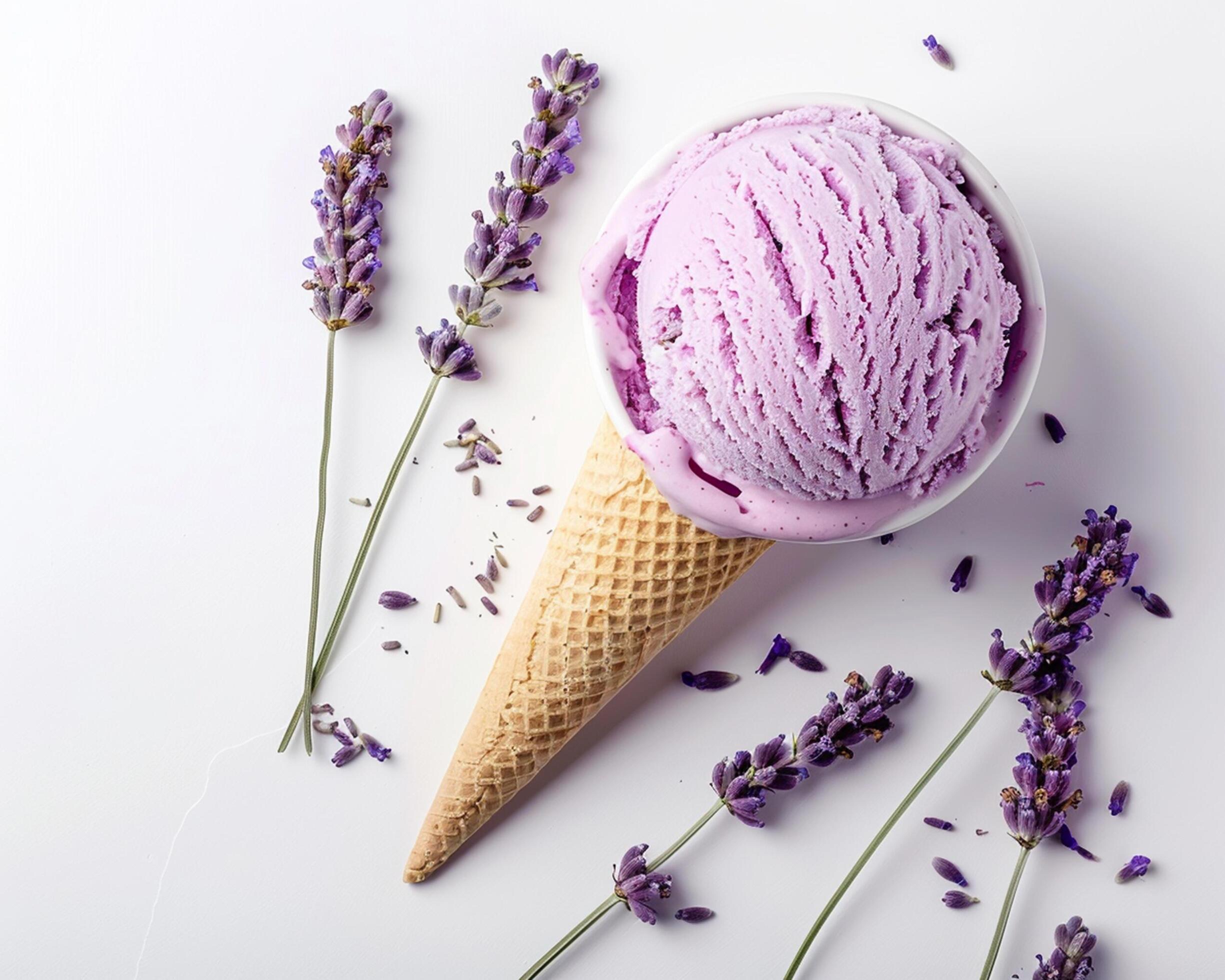 lavender ice cream with lavender flowers on white background top view Stock Free