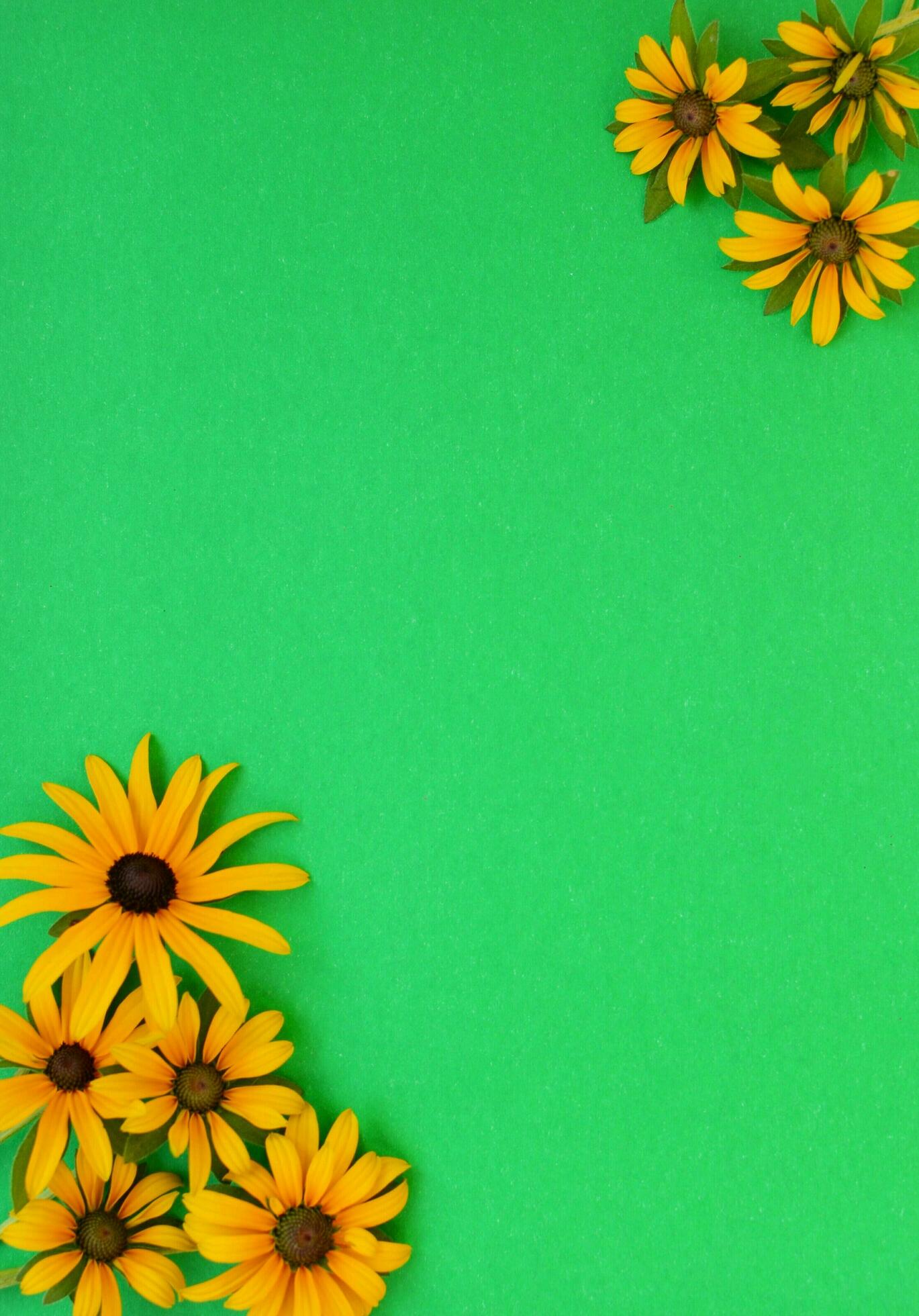 Green grass and yellow flowers on the colorful backgrounds and backdrop Stock Free