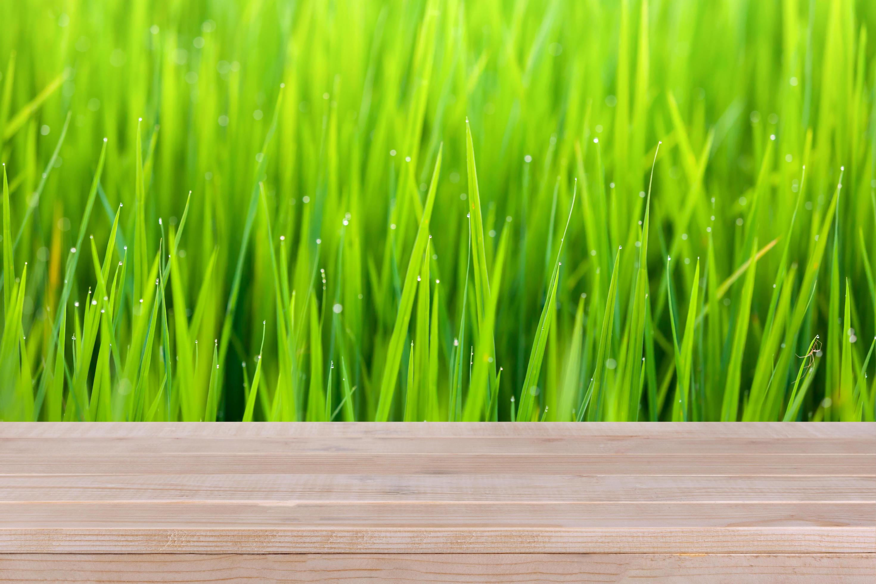 brown wood table top on bokeh abstract green nature background – can be used for montage or display your products Stock Free