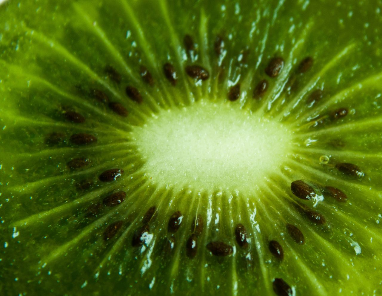 Kiwi Closeup Stock Free