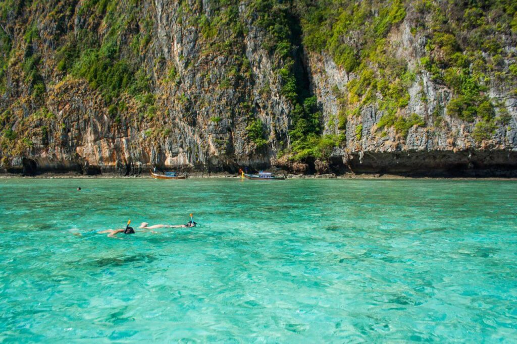 Snorkelling Clear Sea Water Stock Free