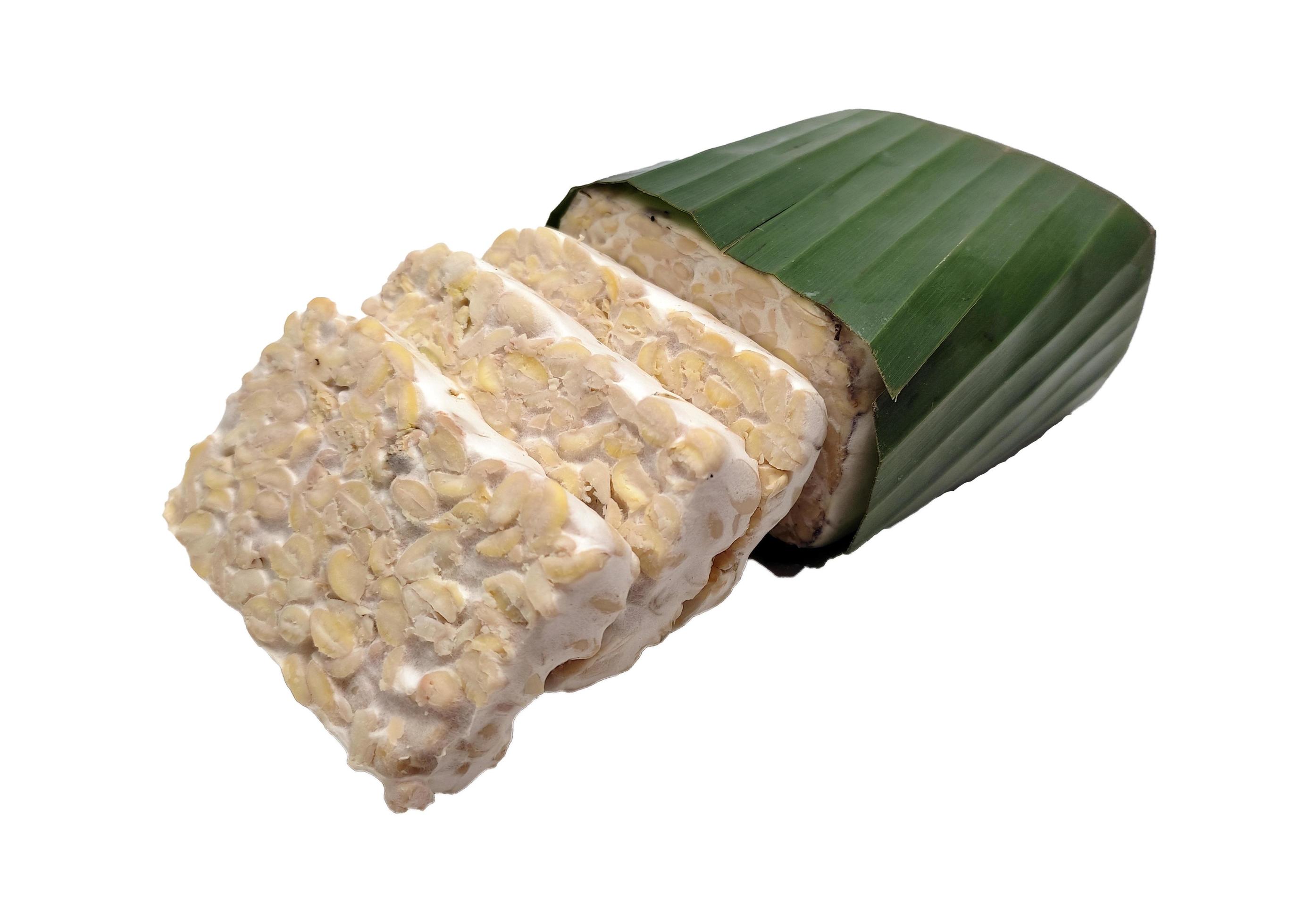 Raw Tempeh or Tempe, Indonesian traditional food, made from fermented soybeans, On White Background. Stock Free