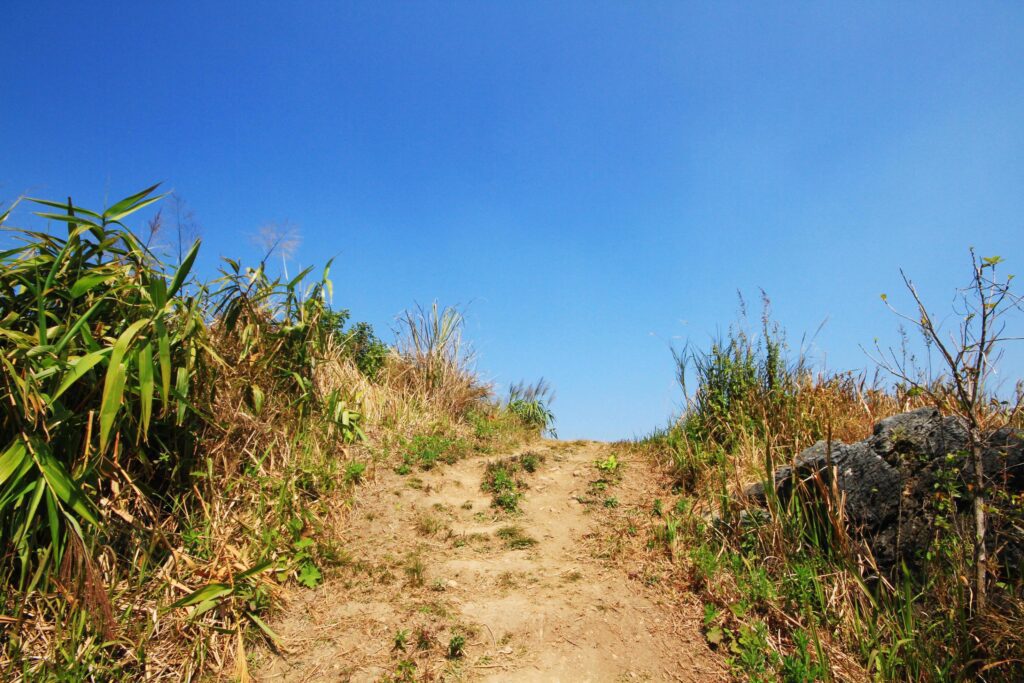 Natural footpath and dry grassland on the mountain at Doi Pha Tang hill in Thailand Stock Free