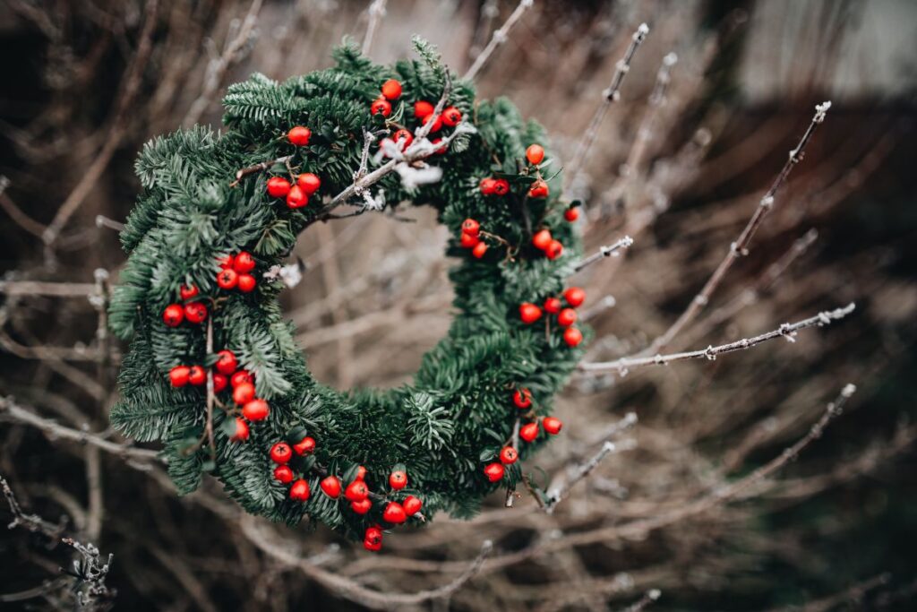 A Very Merry Fresh Holly Wreath for Christmas Stock Free