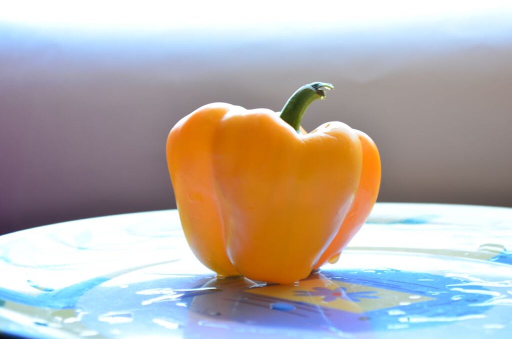 Yellow Capsicum Bell Pepper Sweet Stock Free