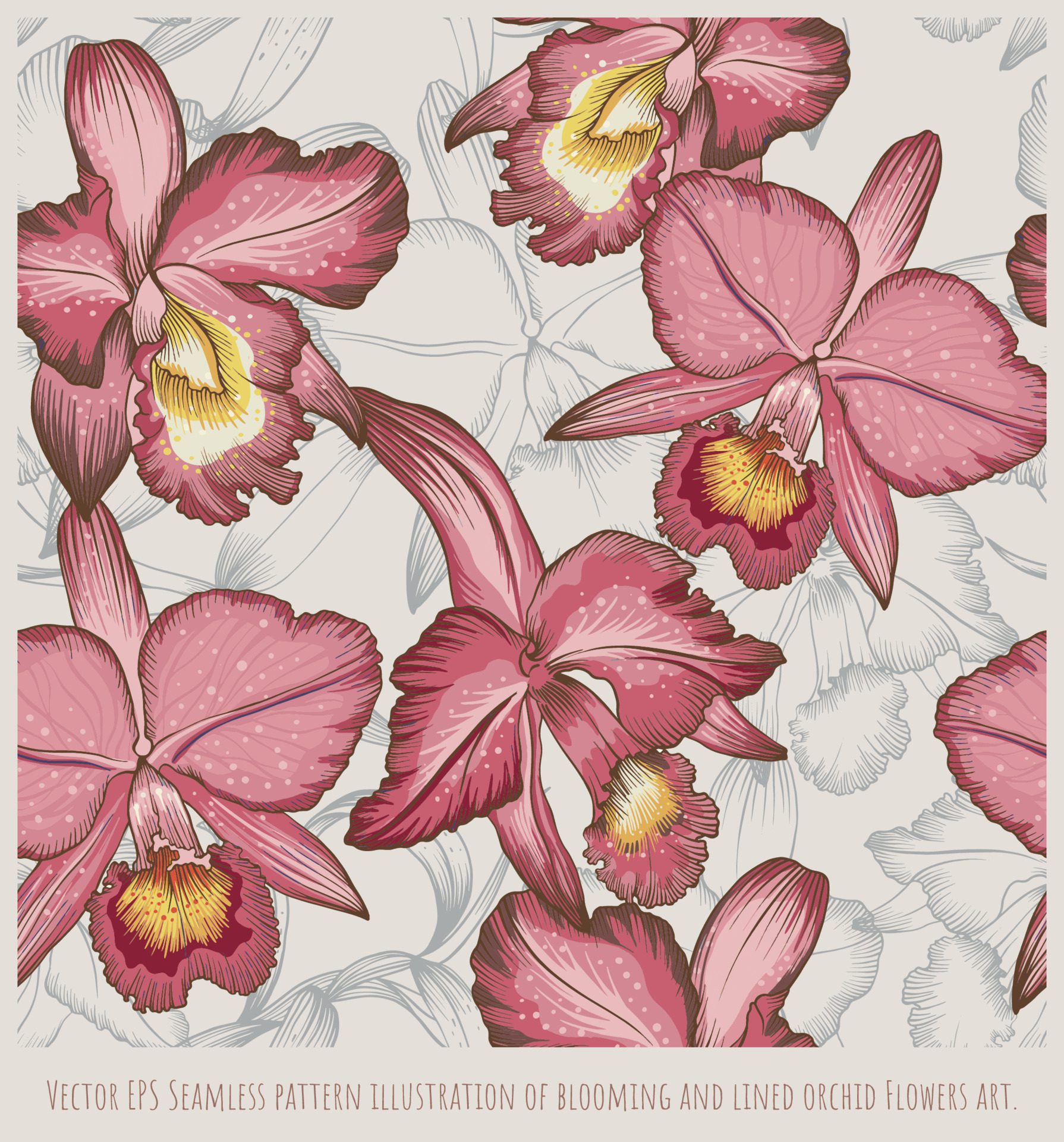 Vector EPS Seamless pattern illustration of blooming and lined orchid Flowers art Free Vector