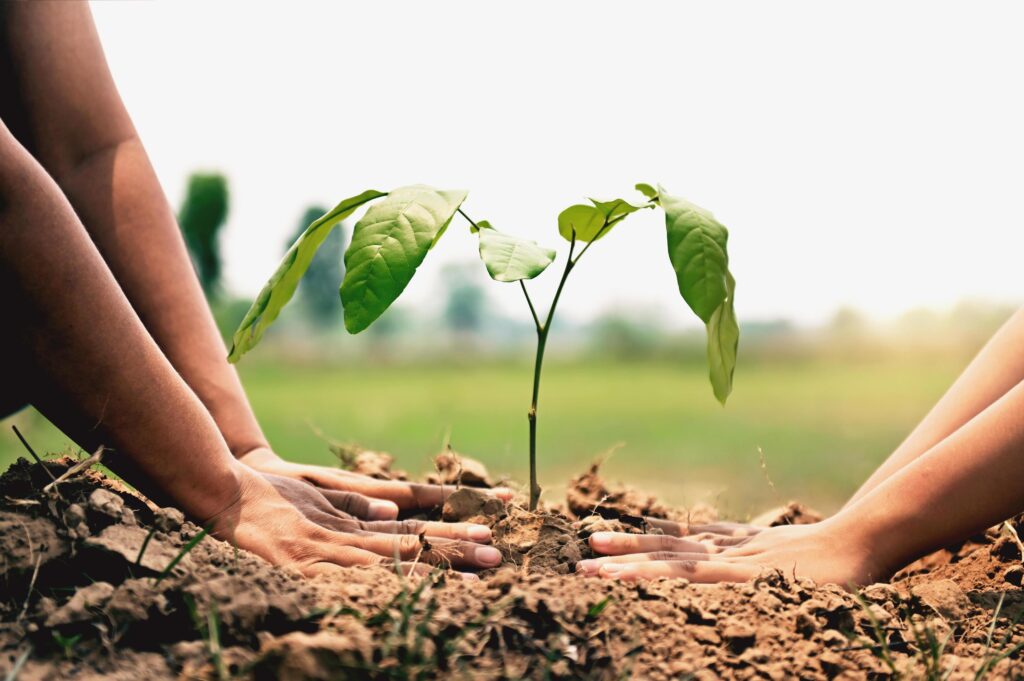 closeup two hand helping planting tree in nature for save earth. environment eco concept Stock Free