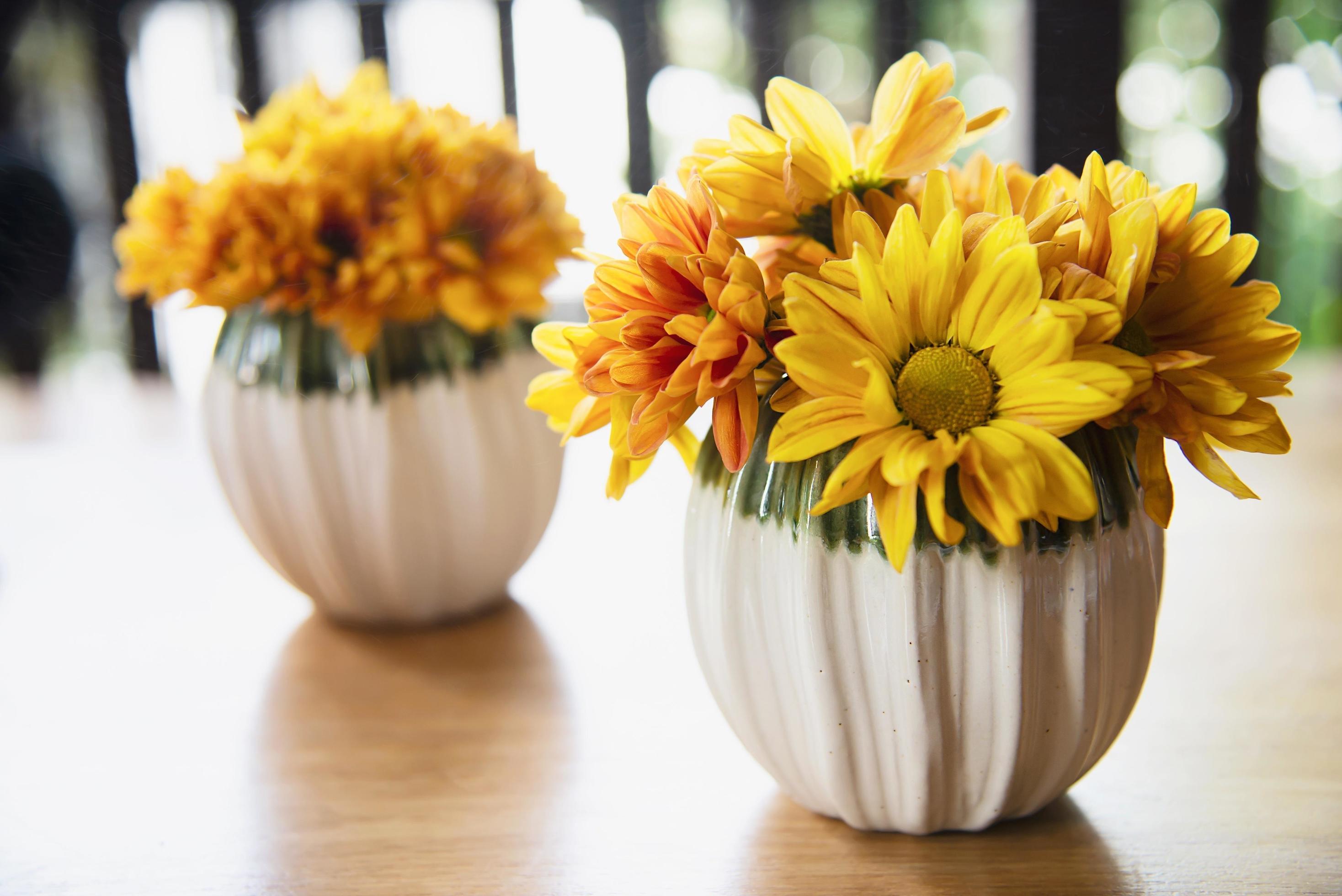 Fresh colorful small sun flower in ceramic pot – yellow flower decoration for background use Stock Free