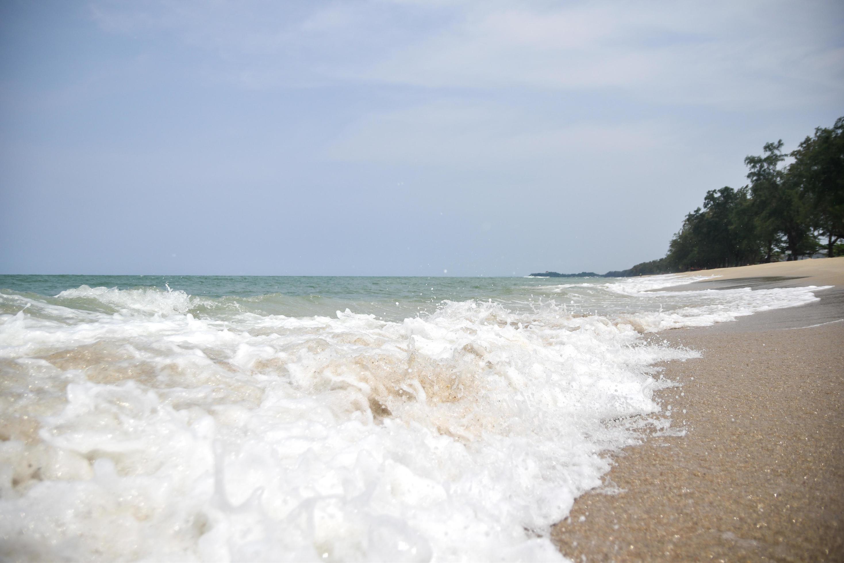 Wide angle shot of sea water hitting the beach, white sponge of the sea, summer nature background image concept. Stock Free