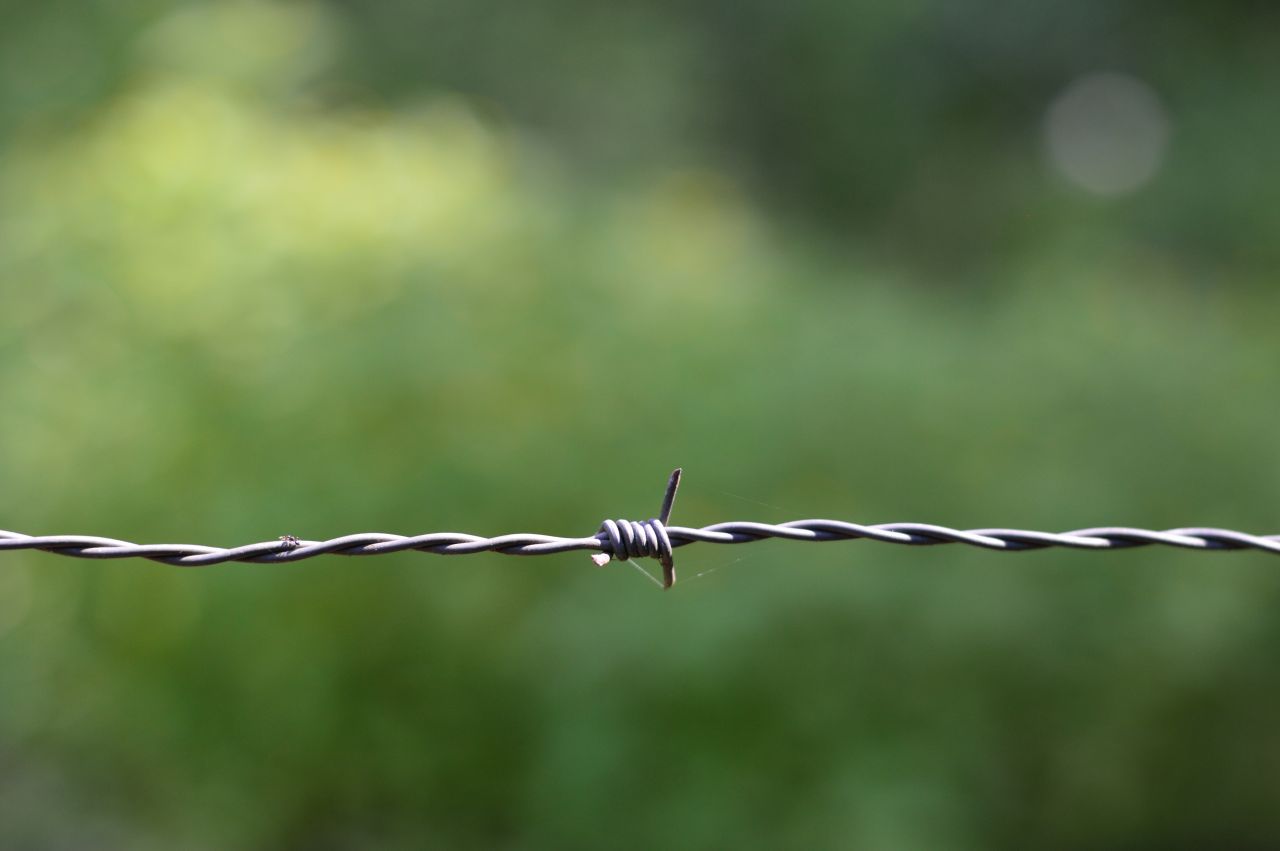 Barbed wire Stock Free