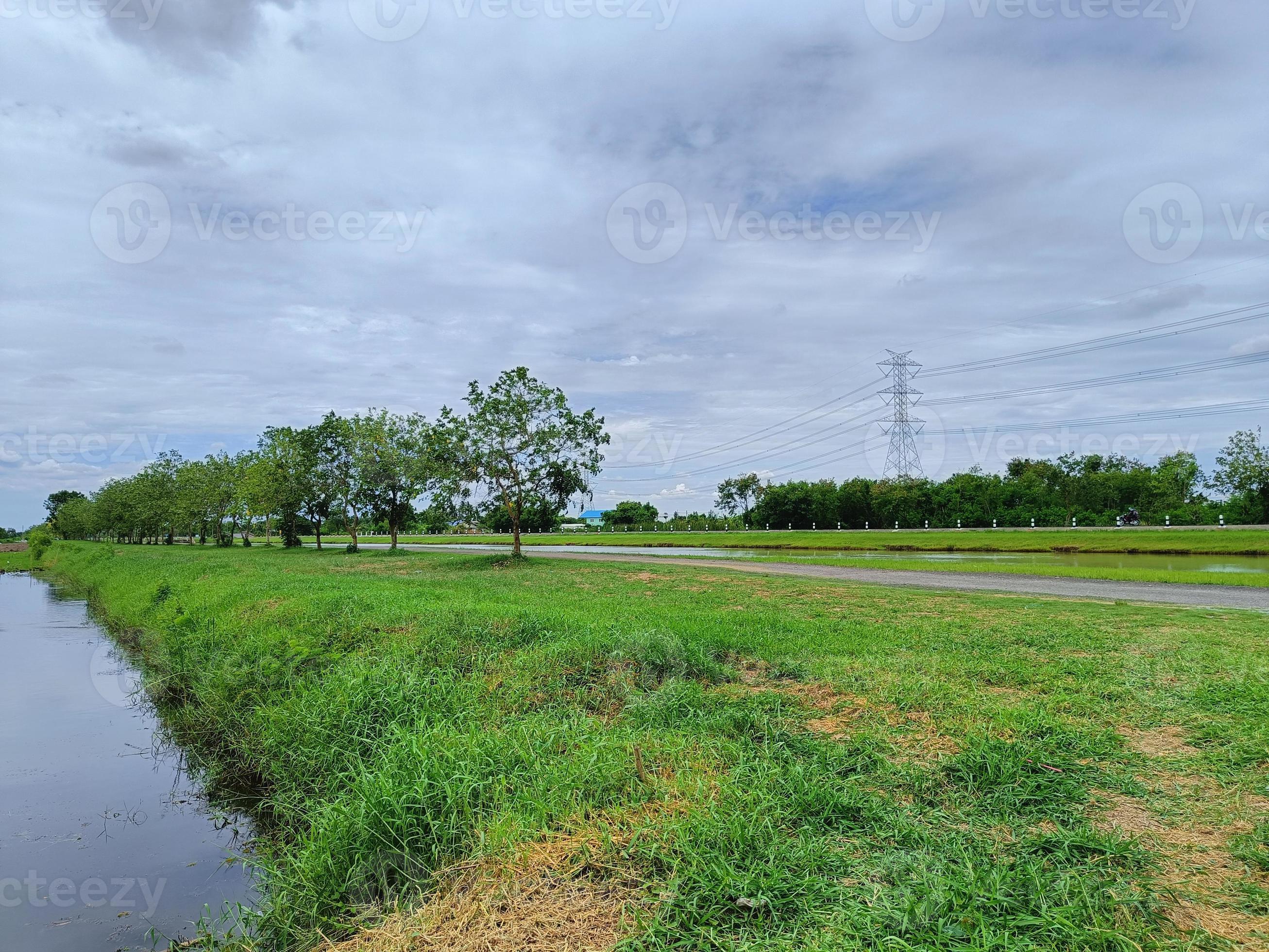 scenery road nature grass sky scenic Stock Free