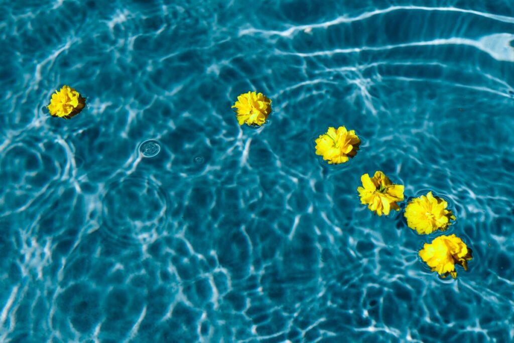 Small yellow flowers floating in the pool Stock Free