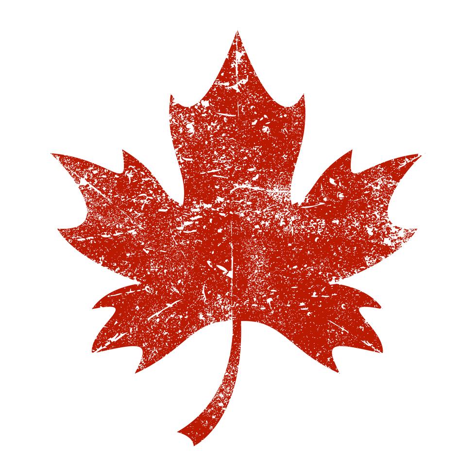 Autumn Maple Leaf vector logo Stock Free