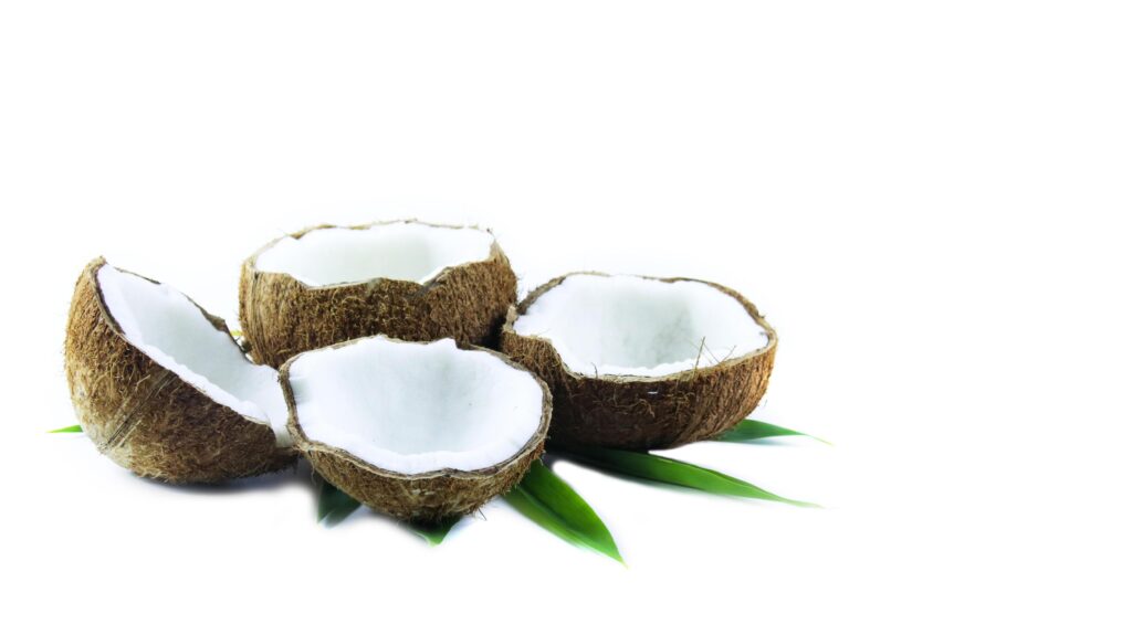 A close-up photograph of a mature and open coconuts isolated on a white background. Stock Free